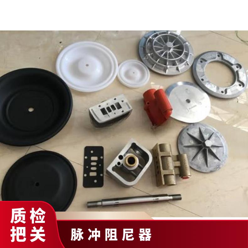 脉动阻尼器膜片RXMZ-S1.0/0.5脉冲膜片隔膜片计量泵