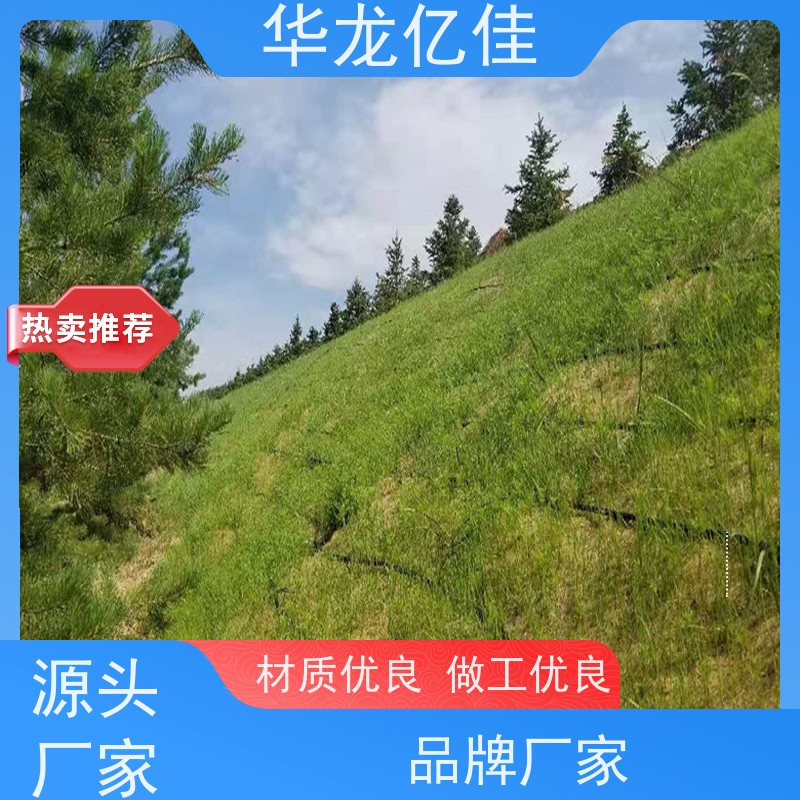 国标 椰丝纤维毯 河道护坡绿化植草毯 华龙亿佳供应