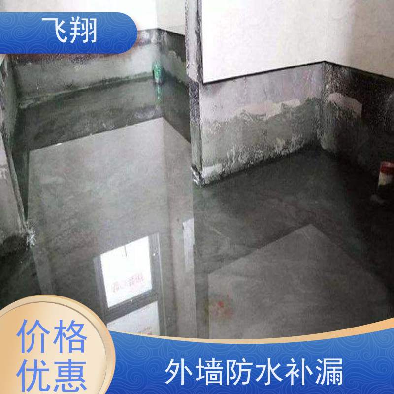 飞翔 防水补漏材料厂家 免费勘察快速修补 施工速度快 