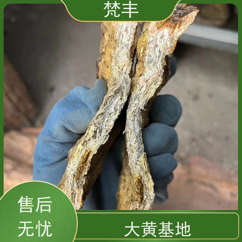 梵丰 大黄专用除草剂 手选大片原材料 库存充足 厂家供应