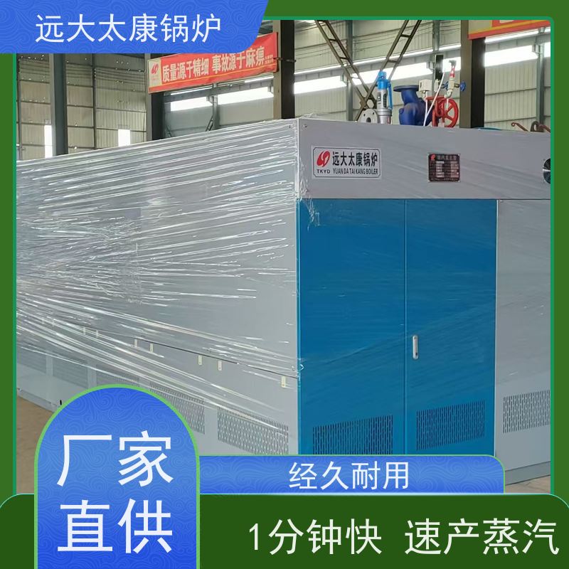 1吨 直流蒸汽发生器 竹笋加工 D级锅炉标准 容水量＜50L 无需年审