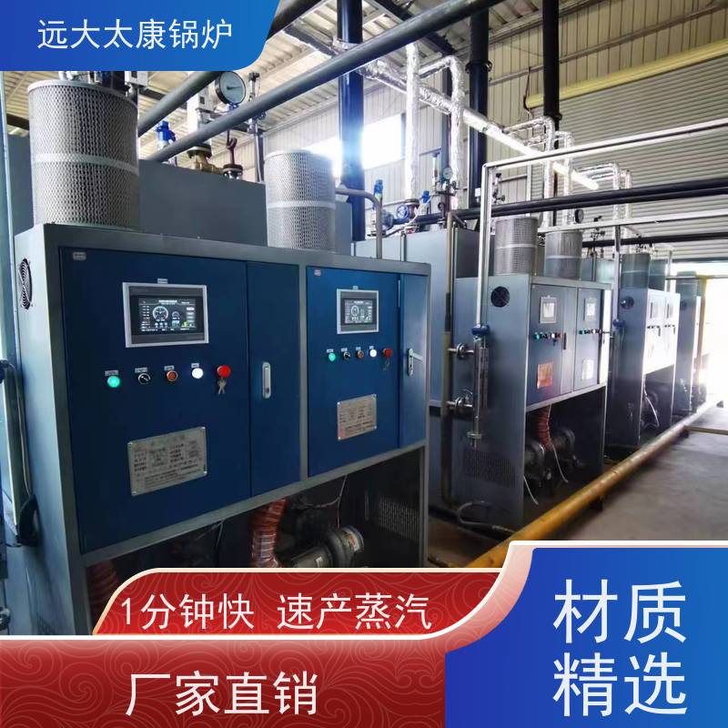 远大太康 3吨 燃气低氮蒸发器 板材加工 免报检 撬装出厂