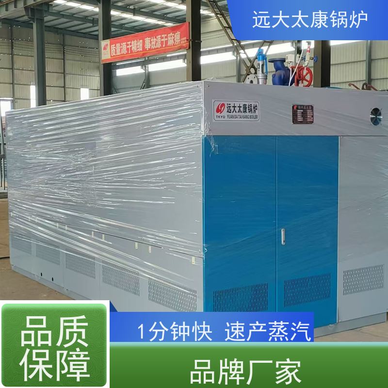 远大太康 0.3吨 燃气低氮蒸发器 1分钟快速产蒸汽 免报检 撬装出厂