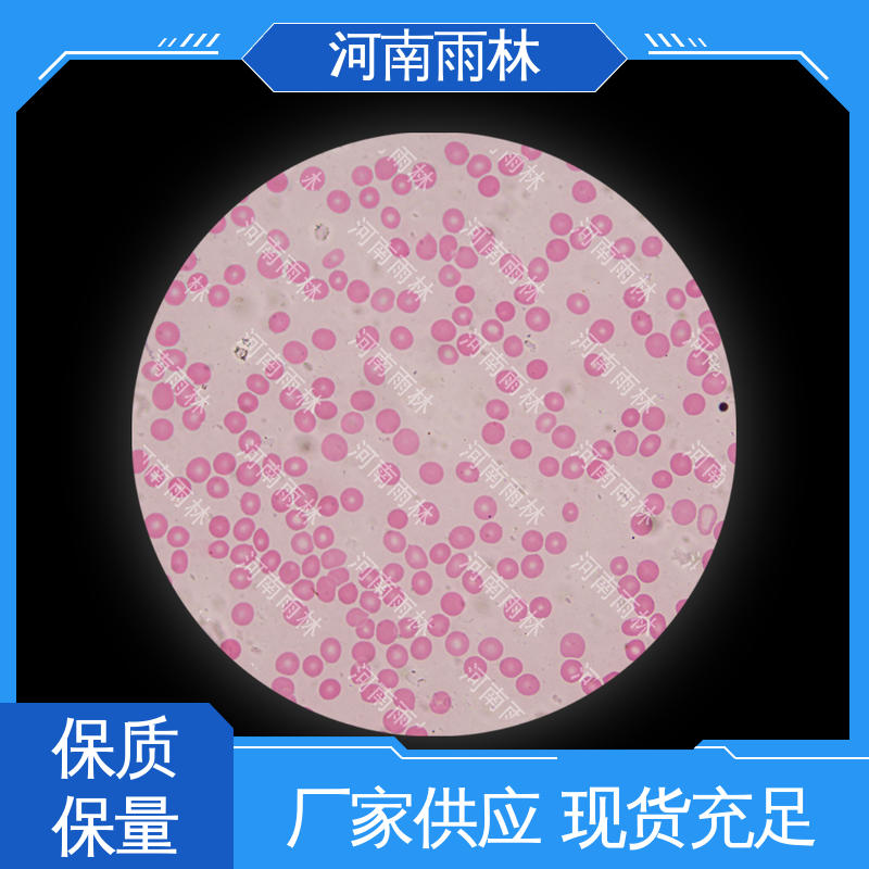 雨林教育 品质优良 显微标本 个性化定做 性价比高