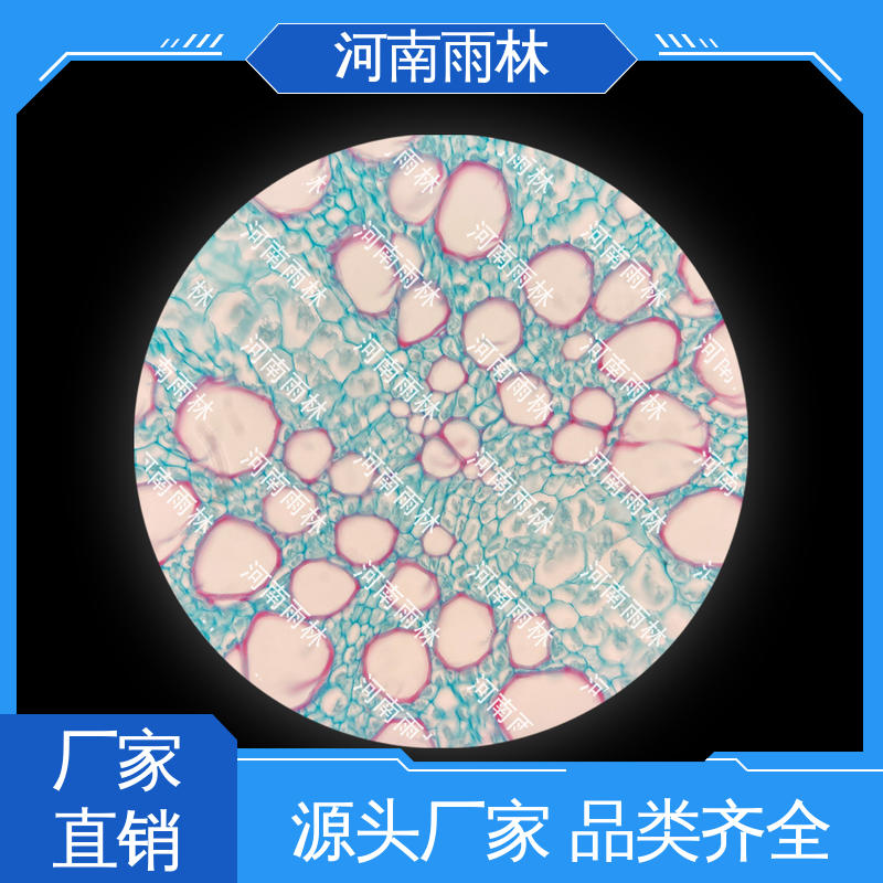 雨林教育工程 专业 教学切片 质量保障 性价比高