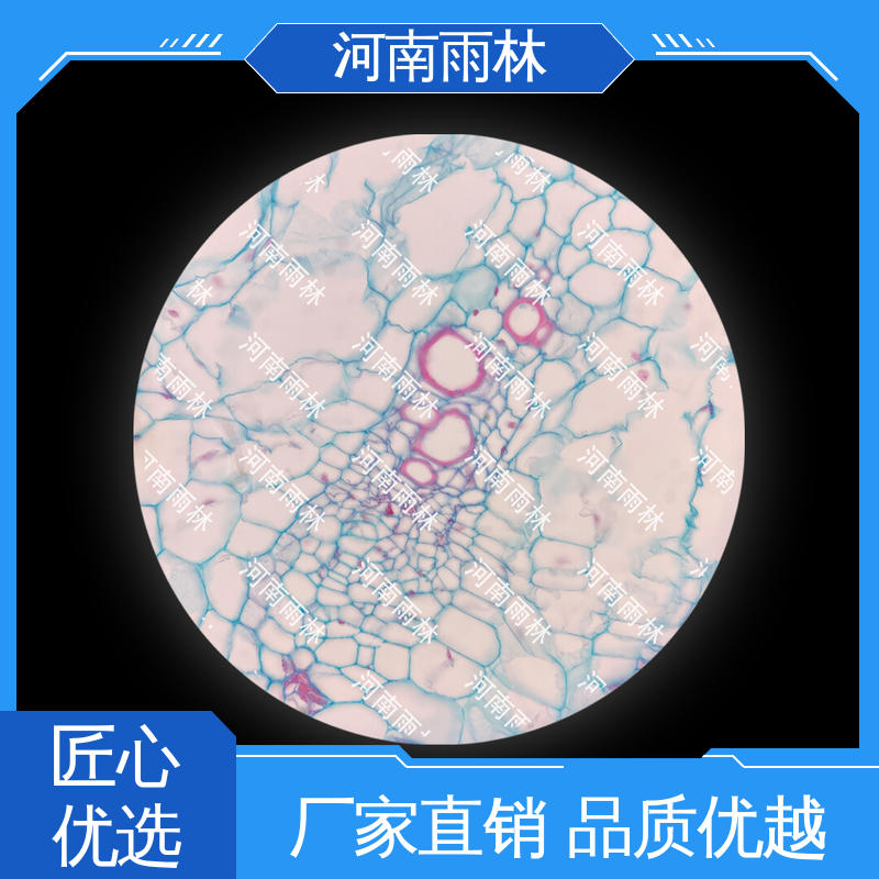 雨林教育工程 质量保障 厂家销售 各类标本 可提供材料