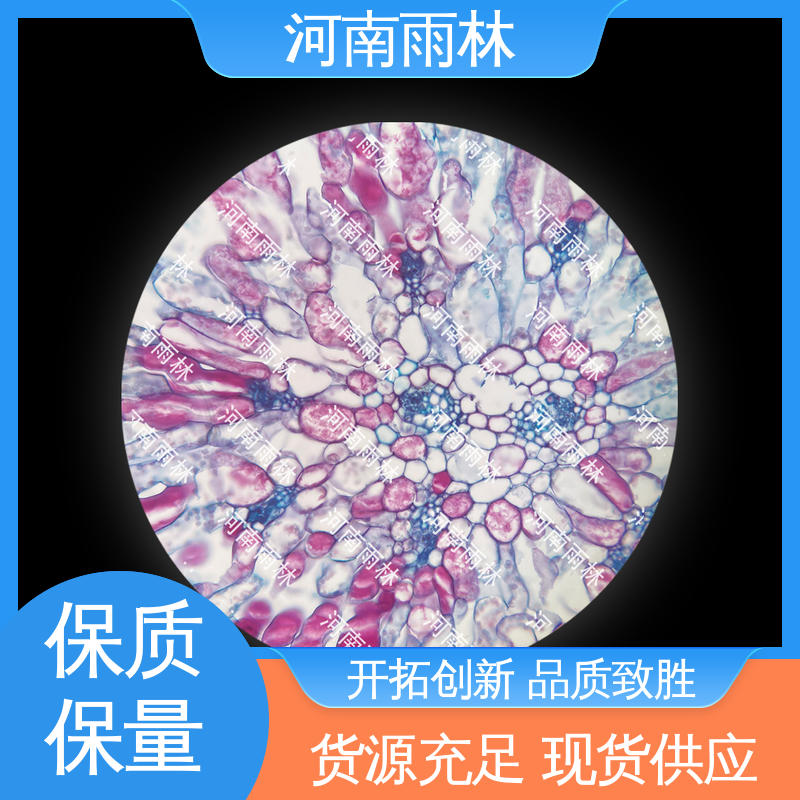雨林教育工程 细胞清晰 显微标本 可提供材料 个性化定做