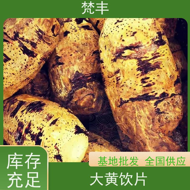 梵丰 大黄驯化种子 手选大片原材料 在线接单 物流配送 
