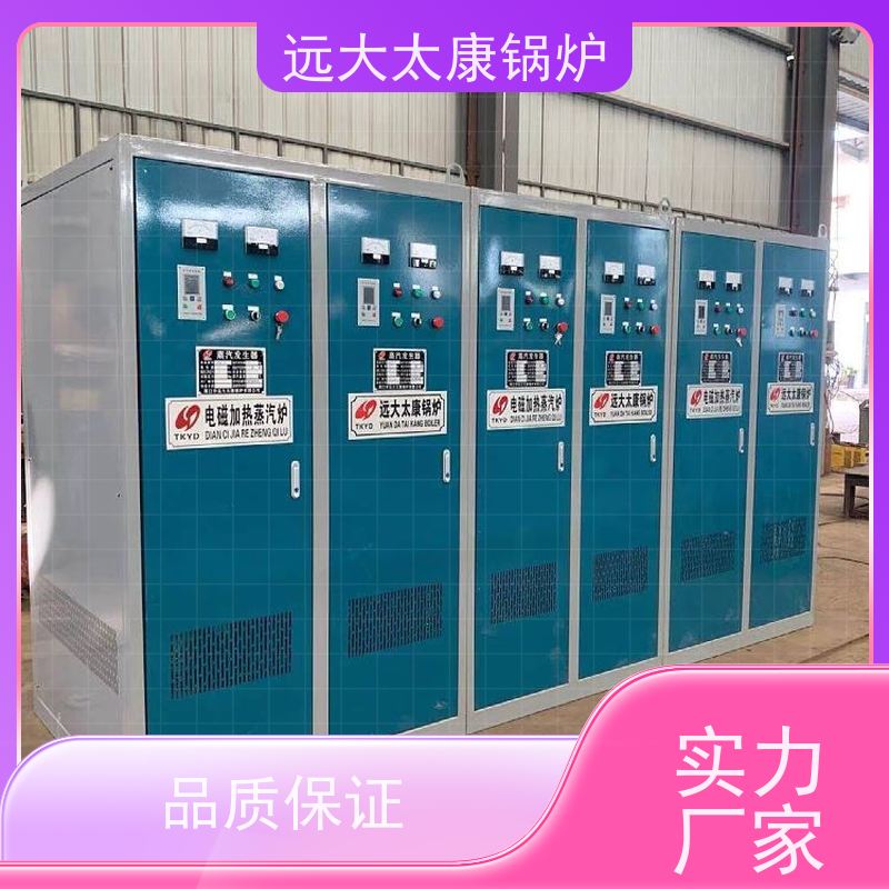 0.7吨 支持非标定制 热效率高 升温快 食品加工行业 电磁采暖锅炉