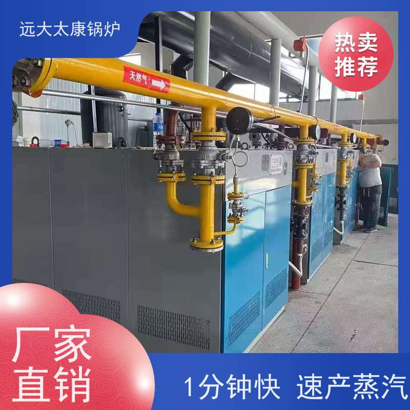 远大太康 直流蒸汽发生器 2.5吨 免报检 撬装出厂 豆制品厂 竹笋加工