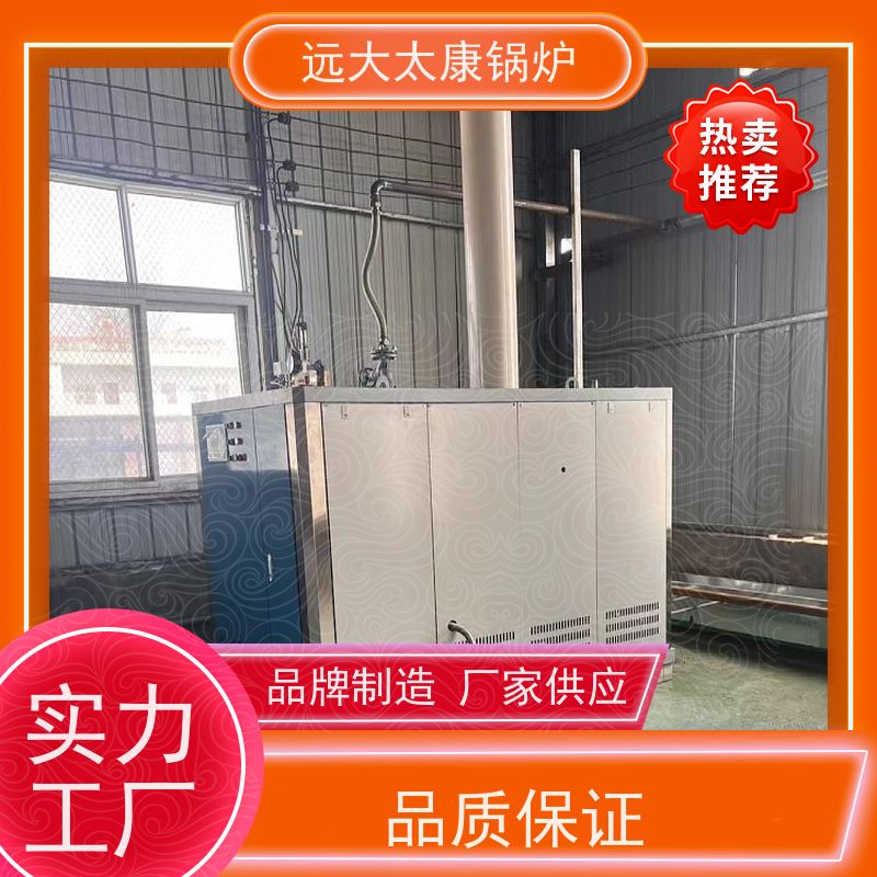 远大太康 2吨 水泥制品养护 不需要办理锅炉使用证 燃气低氮蒸发器