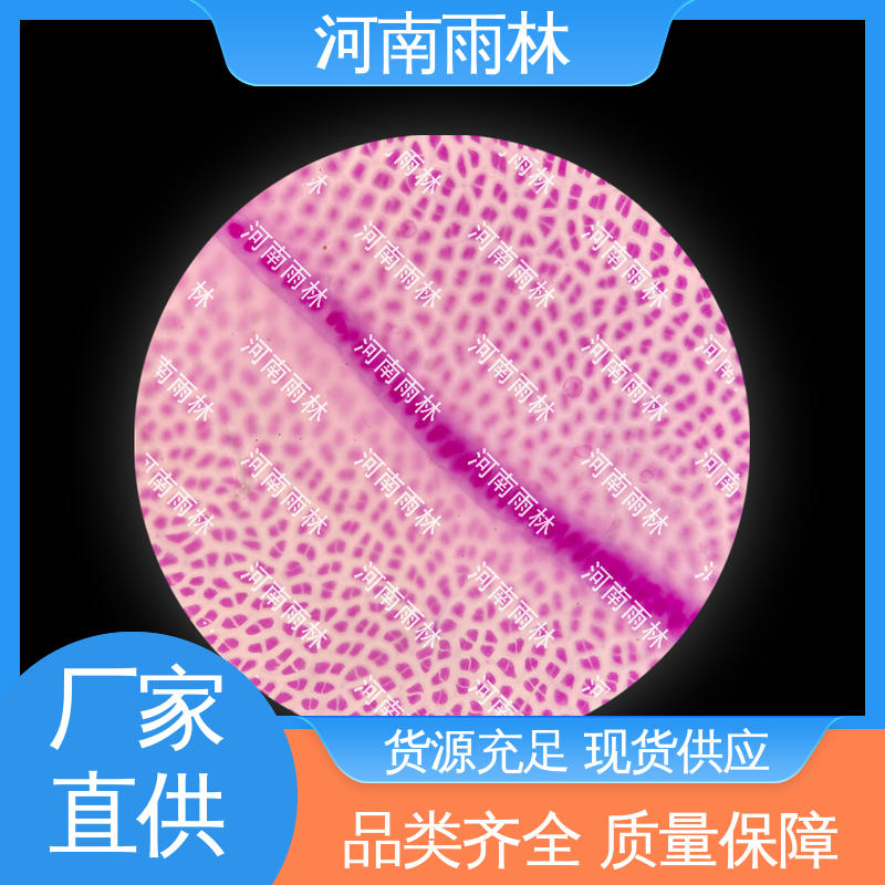 实验切片 源头工厂 可定制 品质优良 雨林教育工程