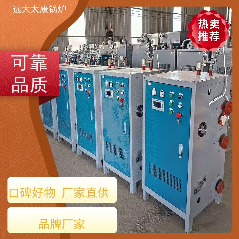 远大太康 服装厂高温烫熨 蒸汽纯度高 出汽足 电磁蒸发器