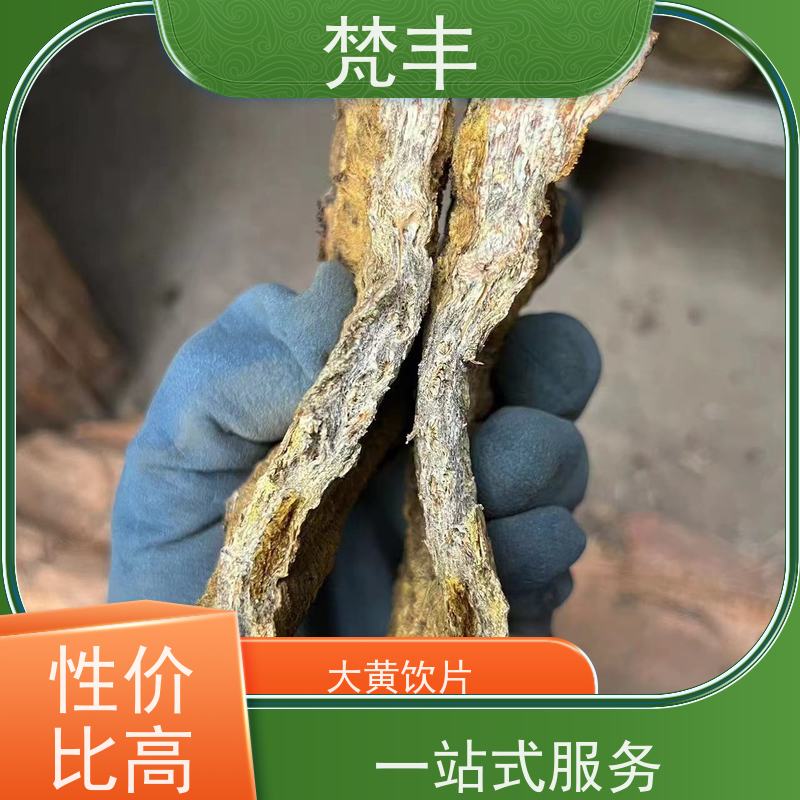 梵丰 大黄驯化苗 现挖 好种 易活活 欢迎来电洽谈