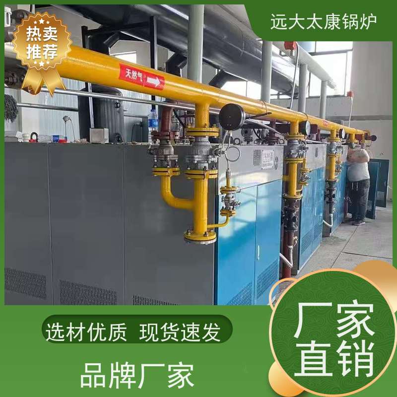 远大太康 蒸汽发生器 豆制品厂 竹笋加工 免报检 撬装出厂 3吨