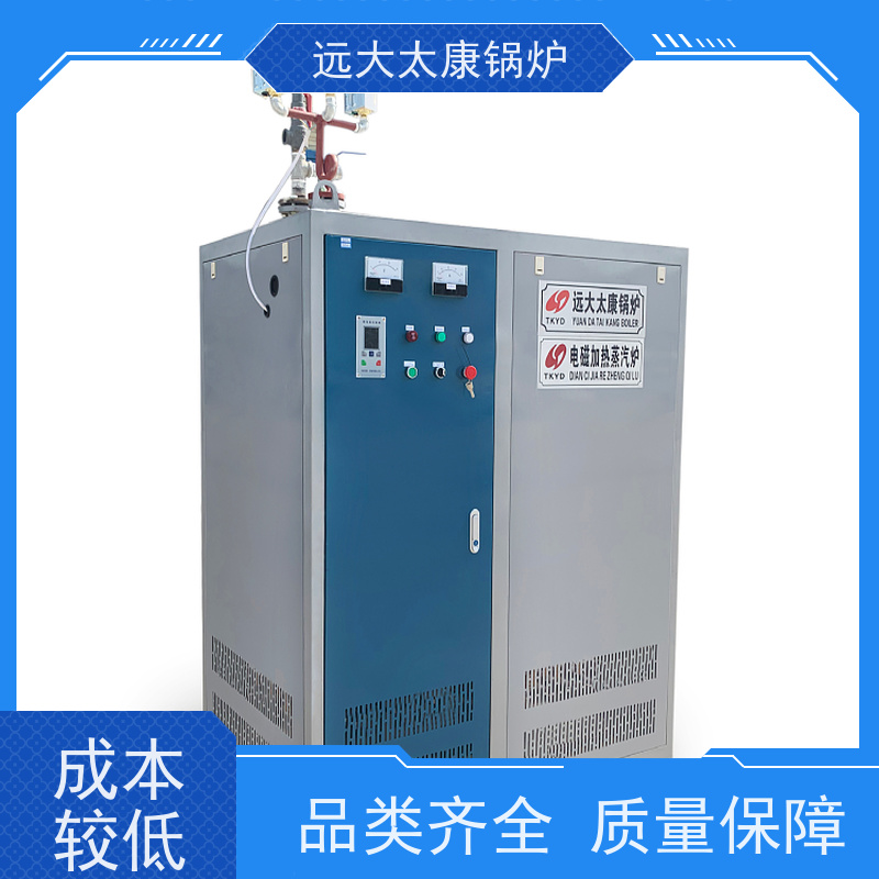 420KW 蒸汽发生器 酿酒蒸馏设备配套 容水量＜30L 免报检
