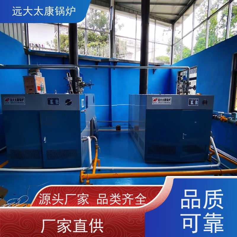 远大太康 不需要办理锅炉使用证 1分钟快速产蒸汽 燃气低氮蒸发器 1吨