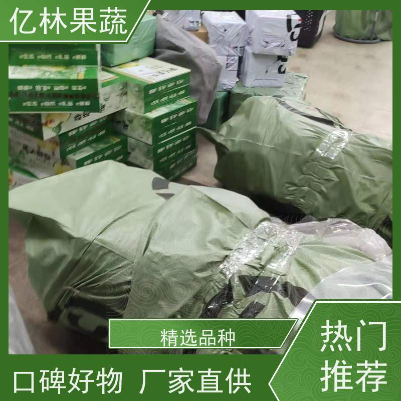 亿林苗木 园林嫁接桃苗 新品种挑苗 香甜可口 成活率高