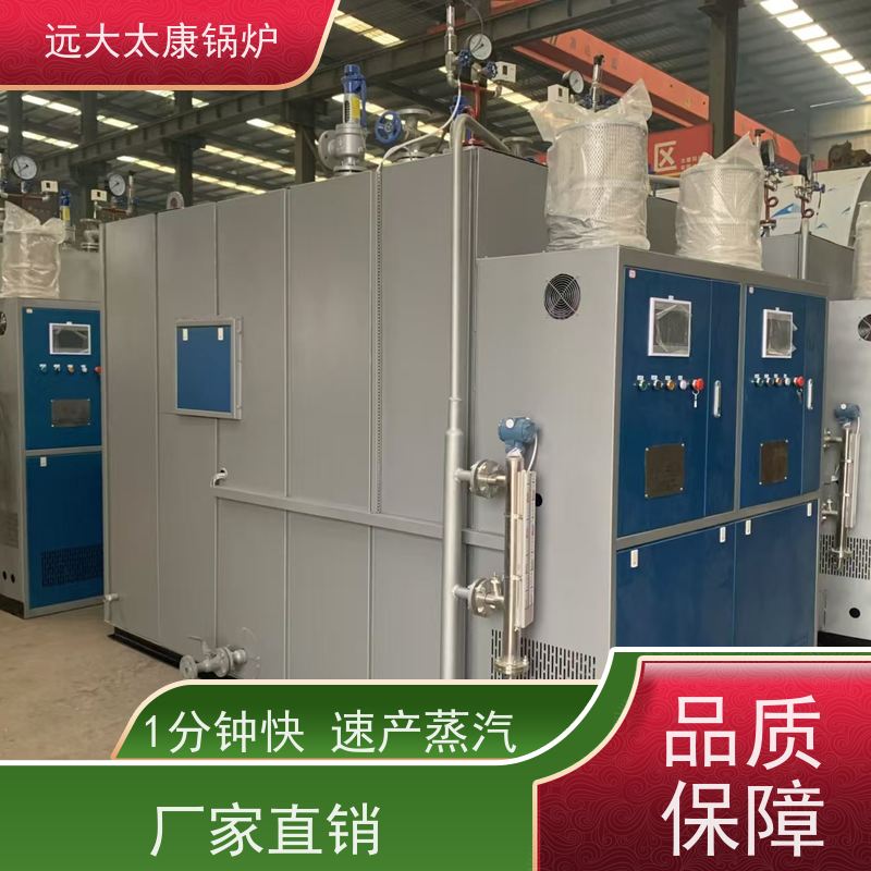 远大太康 不需要办理锅炉使用证 4吨 水泥制品养护 燃气蒸汽发生器