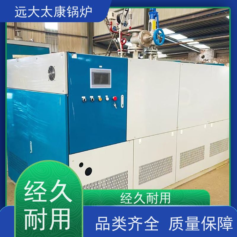 远大太康 水泥制品养护 不需要办理锅炉使用证 3吨 燃气低氮蒸发器