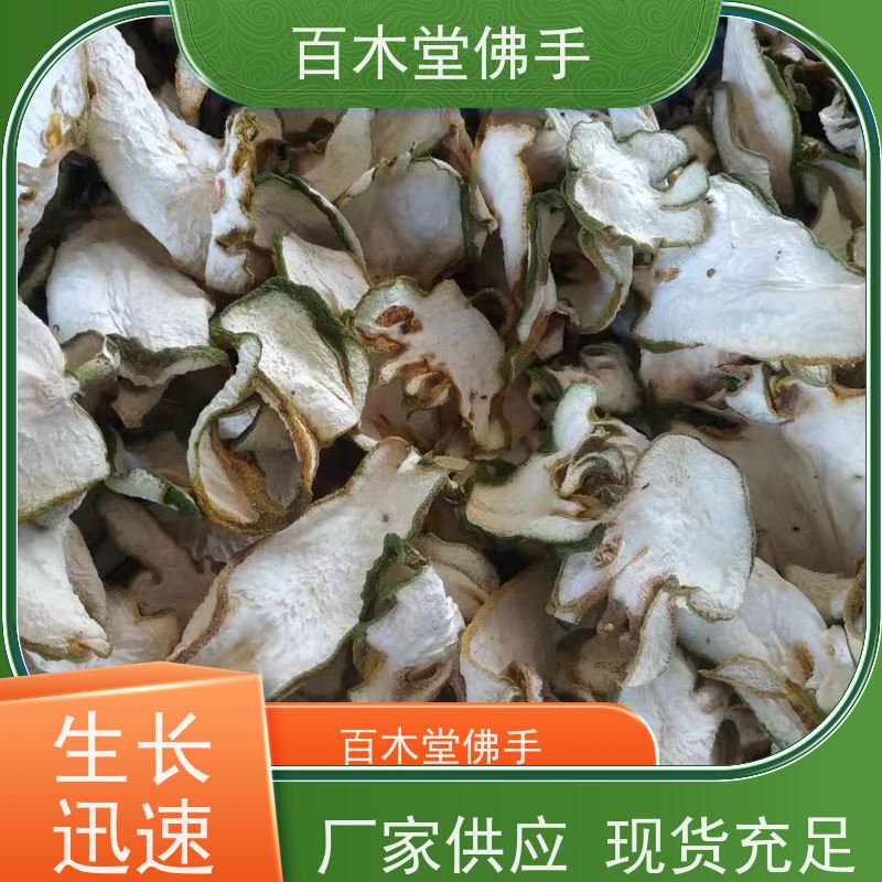 百木堂 广佛手 枝叶紧密 美丽多姿 道路绿化行道苗