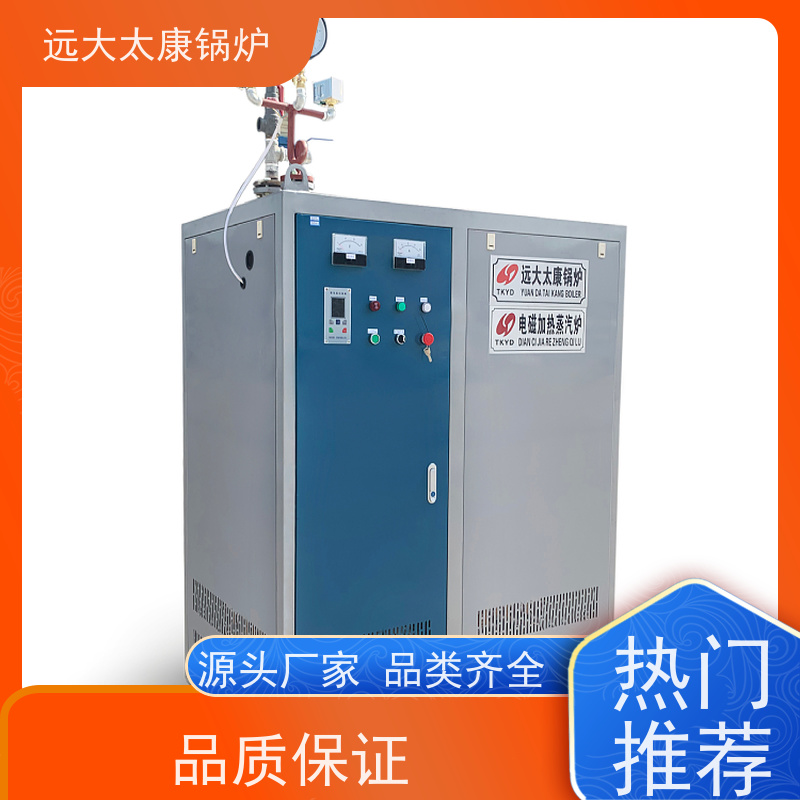 全自动 杀菌消毒灭菌 快速产蒸汽 温度高 电磁蒸发器
