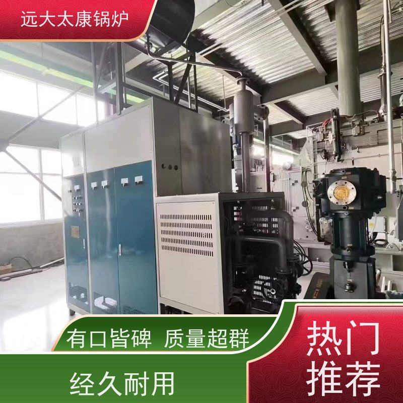 36KW 油炸食品恒温加热 电导热油炉 远大太康锅炉 占地面积小 维护方便