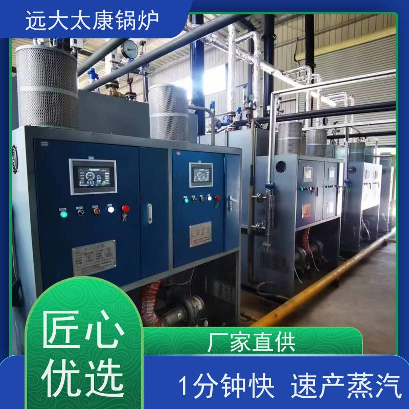 远大太康 燃气低氮蒸发器 1.5吨 免报检 撬装出厂 豆制品厂 竹笋加工