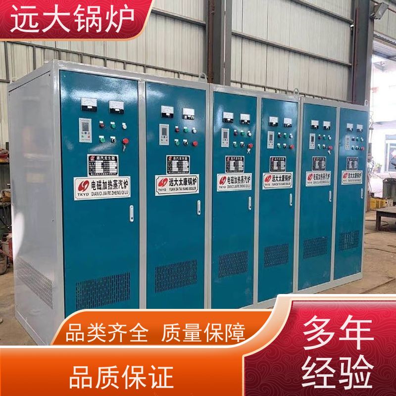 远大太康 中央空调供暖 运行稳定 方便清洗 电加热热水锅炉 200KW