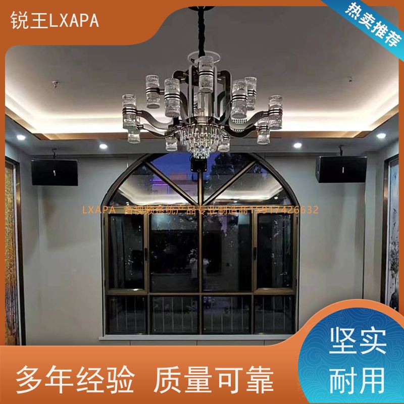 锐王LXAPA 音响 12寸线阵音箱 音质优美 会议功放音柱