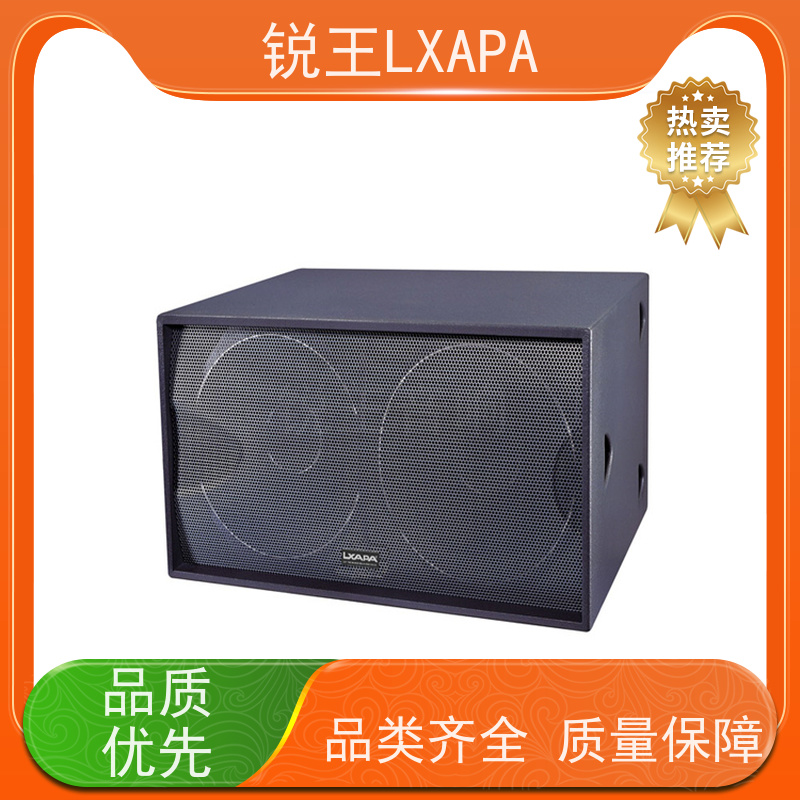 锐王LXAPA 适用于剧院 人声音箱 演出舞台音响设备 视频会议音柱