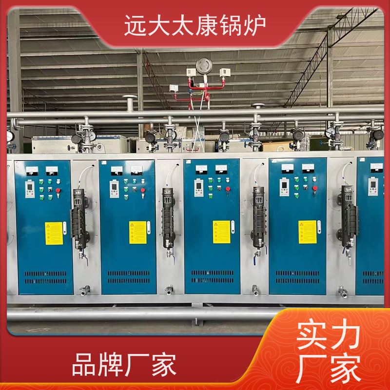 24KW 熟食竹笋加工 热效率高达98% 节能 蒸汽发生器