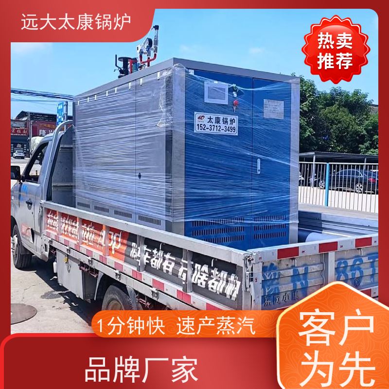 远大太康 服装厂熨烫 不需要办理锅炉使用证 0.3吨 燃气蒸汽发生器