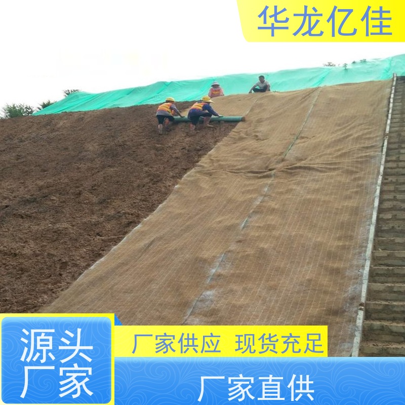 国标 植生毯 河道护坡绿化植草毯 华龙亿佳供应