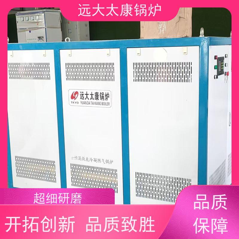 2吨 养殖虾池加温 猪舍鸡舍取暖 电加热热水锅炉 700KW