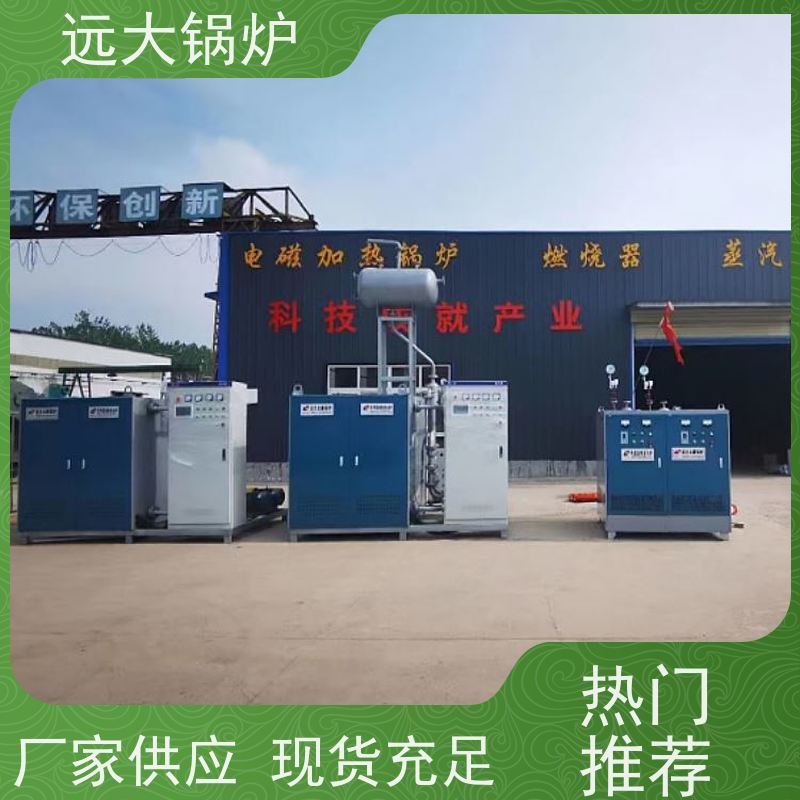 远大太康 运行稳定 方便清洗 中央空调供暖 700KW 电真空锅炉