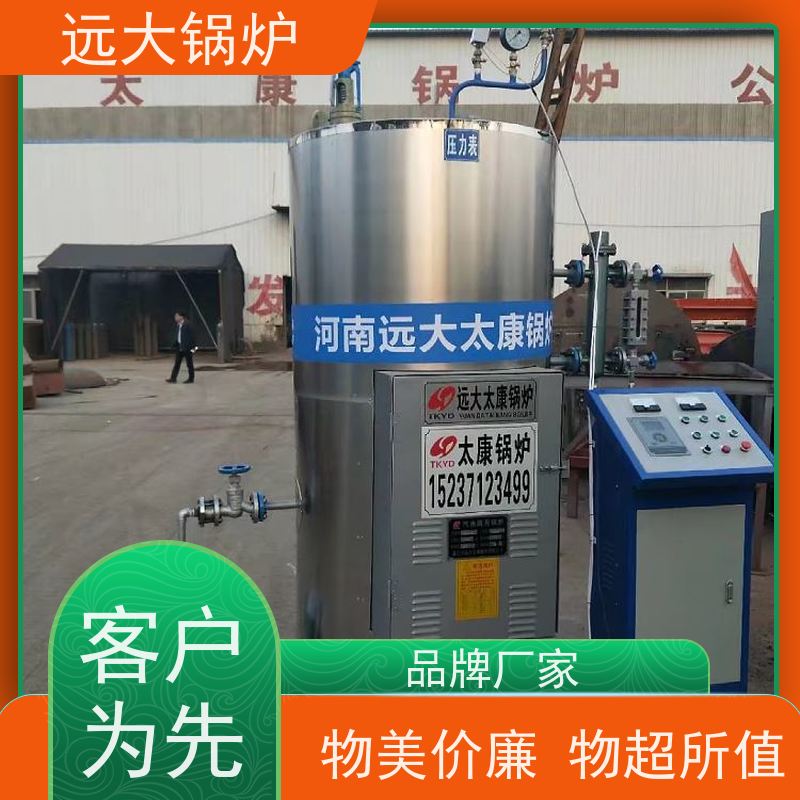 远大太康 中央空调供暖 非标定制 快速启动 200KW 电加热真空锅炉