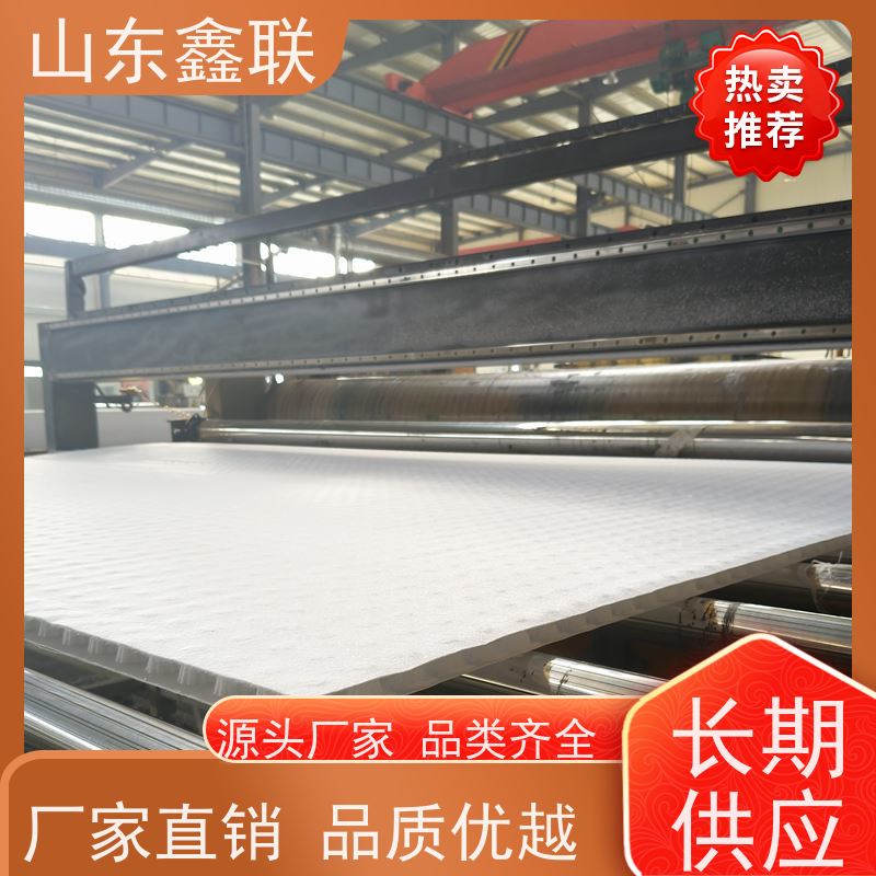 鑫联新材料 车库顶板虹吸排水系统 专注生产供应 20高分子异型片材