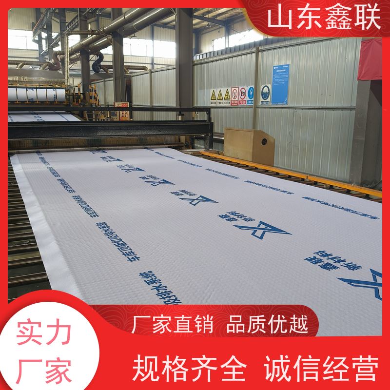 鑫联新材料 防护虹吸排水收集系统 屋顶花园绿化 15高板布一体疏水板