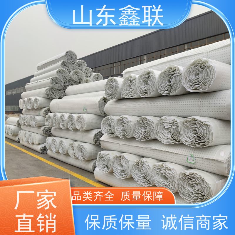 鑫联新材料 车库顶板虹吸排水 科研创新 20高分子异型片材