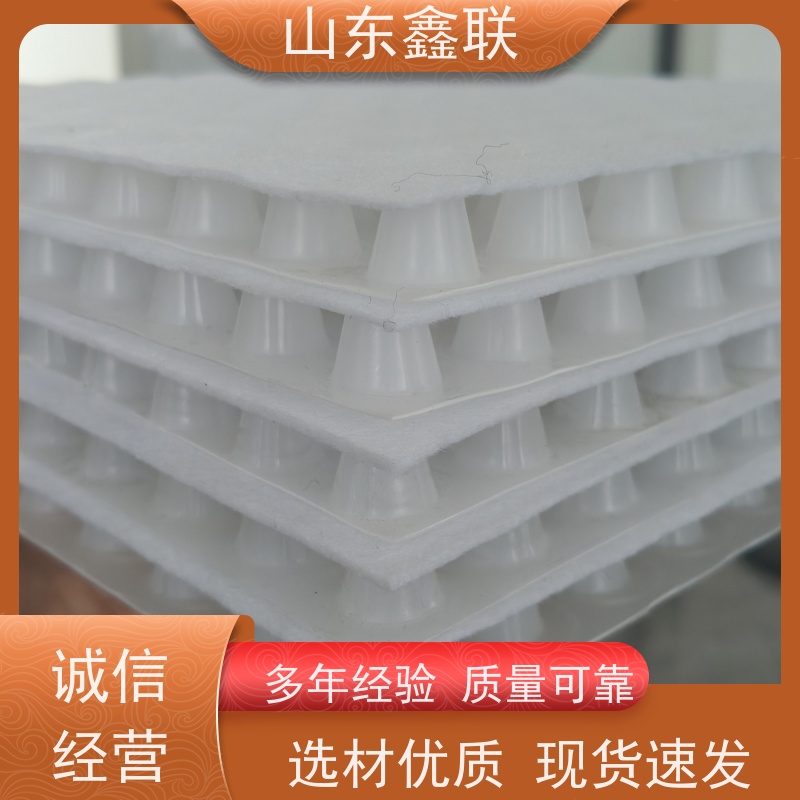 鑫联新材料 有序虹吸排水系统 屋顶花园绿化 H30双面排蓄水异形片