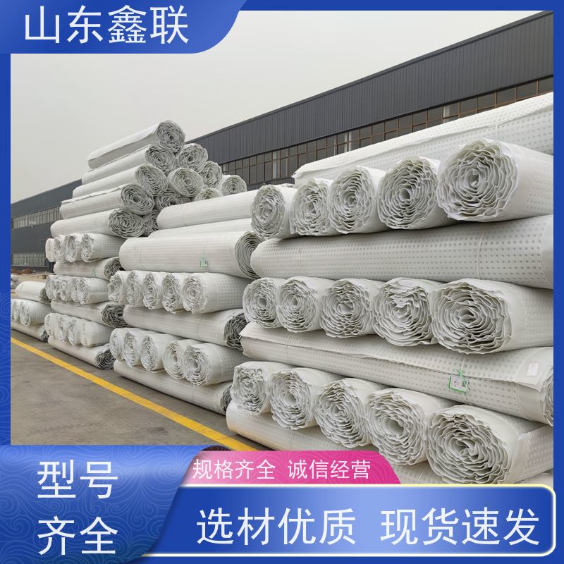鑫联新材料 车库顶板虹吸排水 厂家施工指导 20高分子异型片材