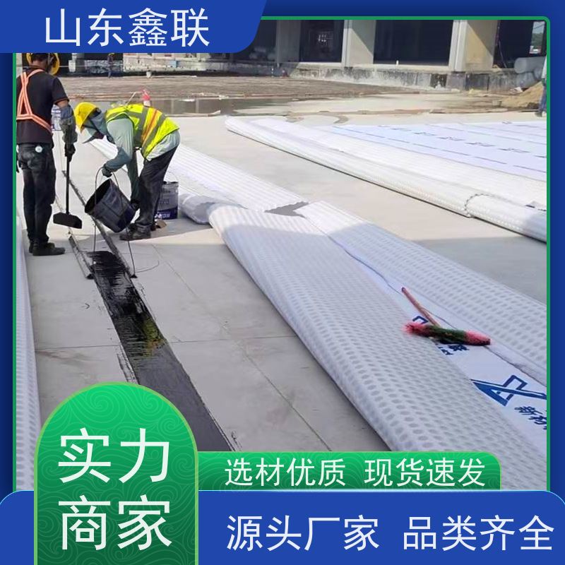 鑫联新材料 车库虹吸系统 百亩面积厂商 H20高分子防排水保护异形片