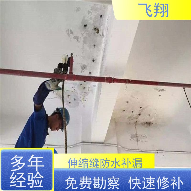 飞翔 卫生间防水补漏施工 地下室渗水堵漏 效率高 