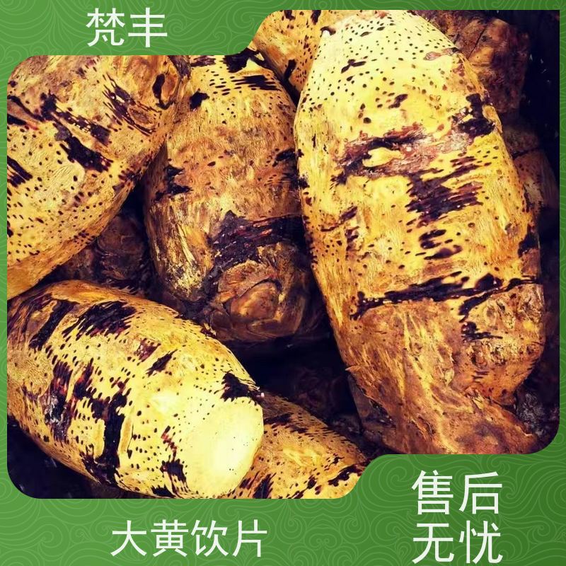 梵丰 大黄管理方法 手选大片原材料 欢迎来电洽谈