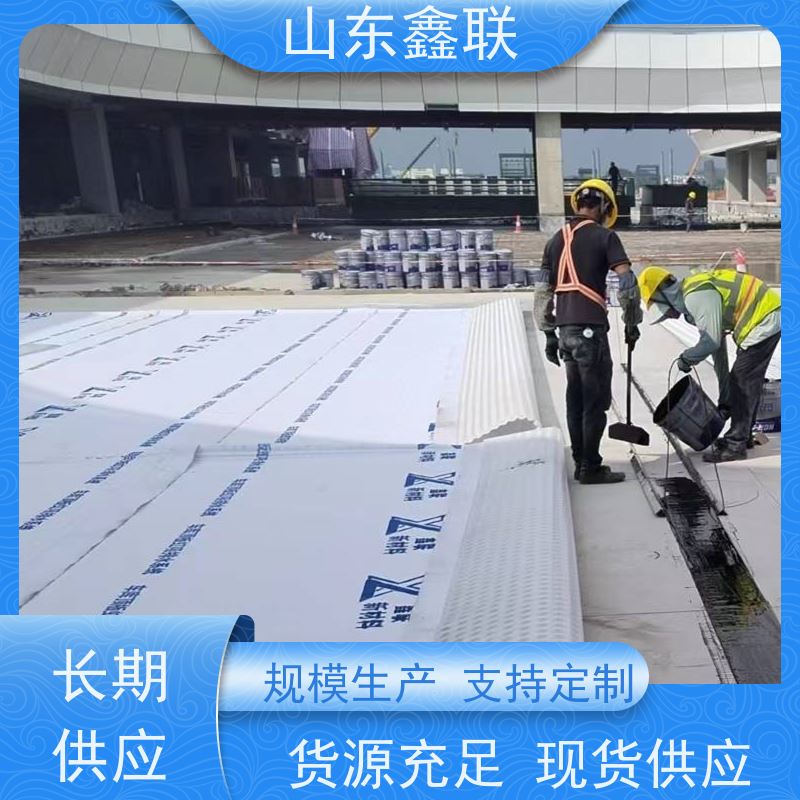 鑫联新材料 车库虹吸系统 大厂实力批发 PED15高分子防护排水异型片