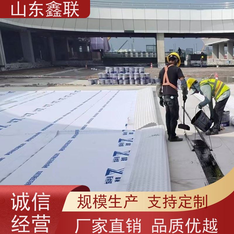 鑫联新材料 车库虹吸系统 国检认证品质 H20高分子防排水保护异形片