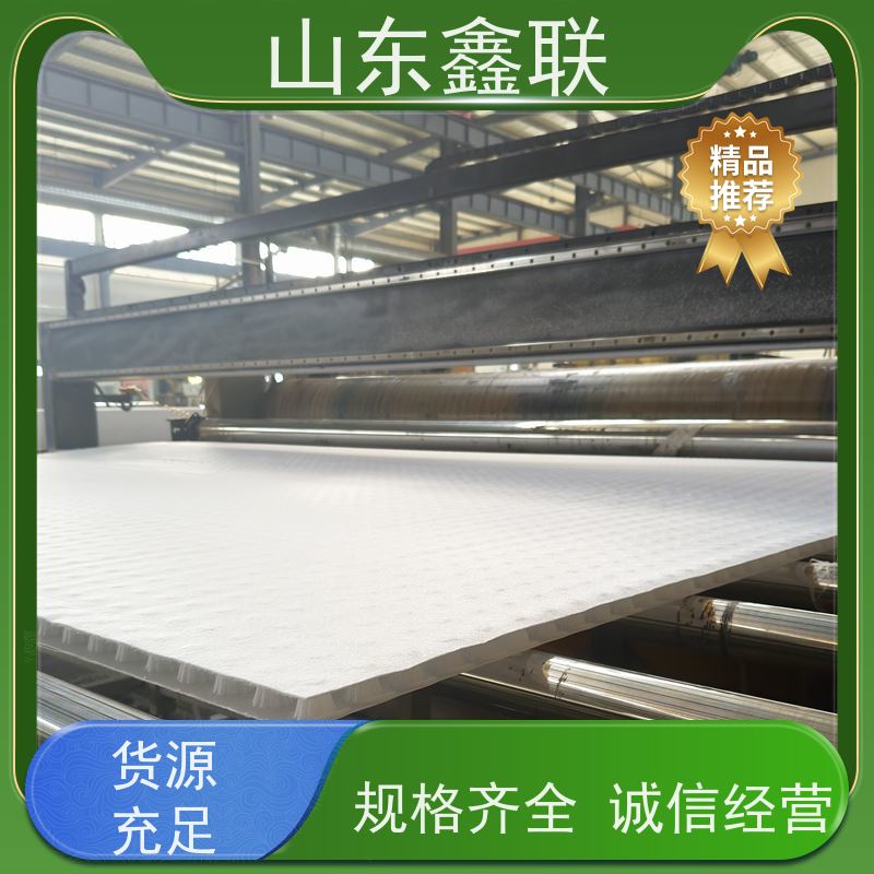 鑫联新材料 防护虹吸排水收集系统 国检认证品质 20高分子异型片材