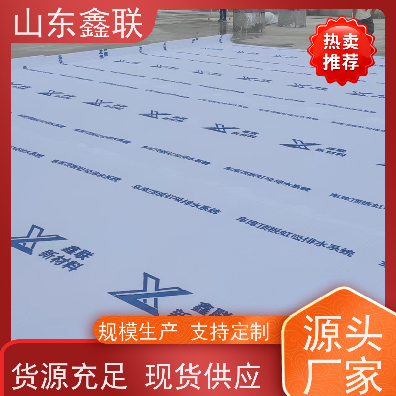 鑫联新材料 虹吸排水板施工 专注生产供应 H30双面排蓄水异形片