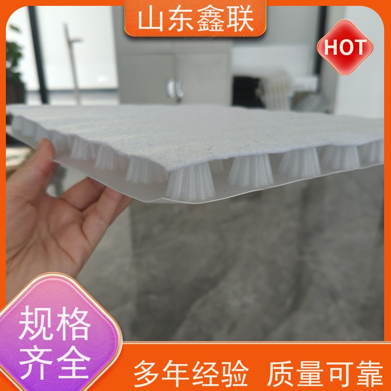 鑫联新材料 车库虹吸系统 严选自营 20高分子异型片材